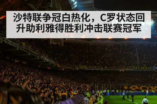 football stadium night crowd