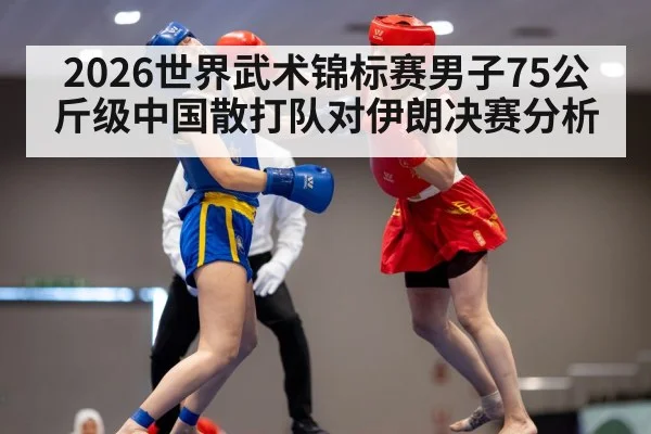 2026世界武术锦标赛男子75公斤级中国散打队对伊朗决赛分析